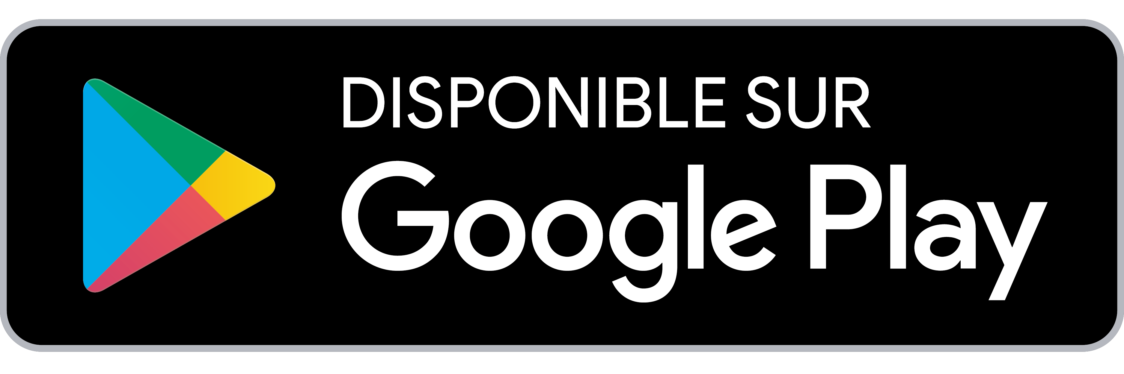 Google Play Store Logo